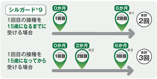 いずれの場合も1年間での接種完了が望ましい