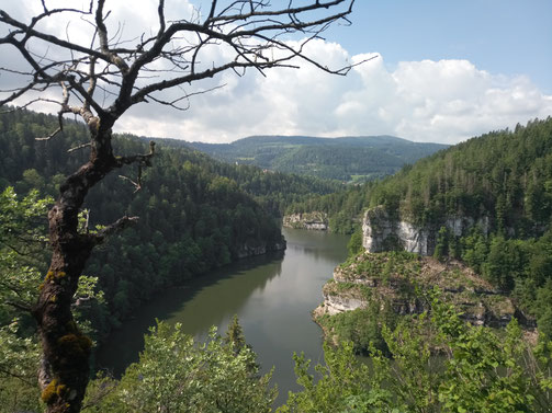 Lac des Brenets (beim Tête de Calvin)