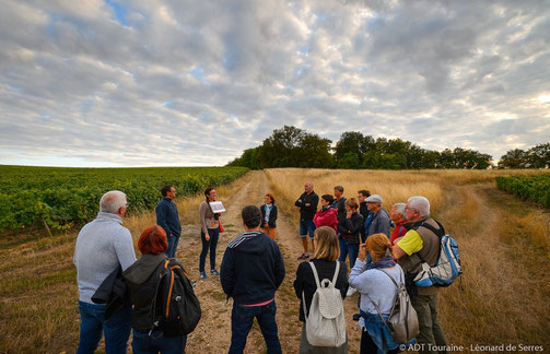 visite-guidee-vignoble-cave-degustation-vin-Vouvray-Touraine-Amboise-Tours-Rendez-Vous-dans-les-Vignes
