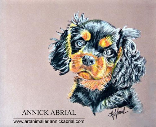 Cavalier King Charles, portrait aux pastels secs, portrait personnalisé aux pastels secs d'après photos