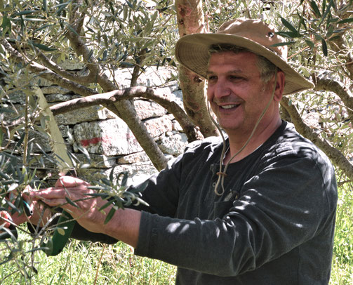Nikos in the garden Olivenöl, Ikaria, Bluezone