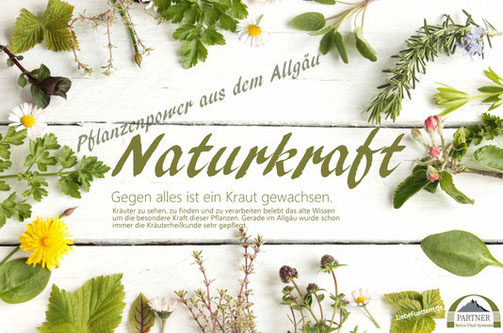 Naturkraft REICO - Pro 1, Pro 2, Pro 3, Pro 4, Pro 5, Pro 6, Pro 7, Pro 8, Aufbau Vital Plus, Energie Booster, Joint Vital, Petmin, Glenk-Vital, Juwel-Vital, Lebe-flüssig von Reico Vital. 