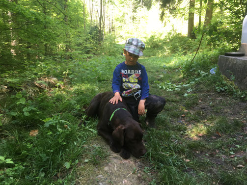  Die bedingungslose Zuneigung des Hundes vermittelt einem Kind Geborgenheit und stärkt das Selbstvertrauen. 