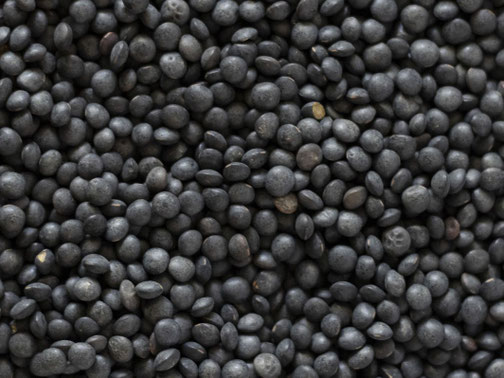 Linsen, Bio, BioSuisse, Nachhaltig, Mischkultur, Demeter, biodynamisch