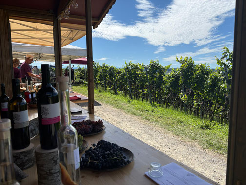 #Demeter#BioSuisse#Wein#Sommerfest#