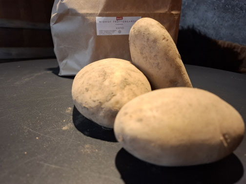 Biolandbau, Kartoffeln, biodynamisch,bio, BioSuisse, Demeter, nachhaltig, regenerative Landwirtschaft