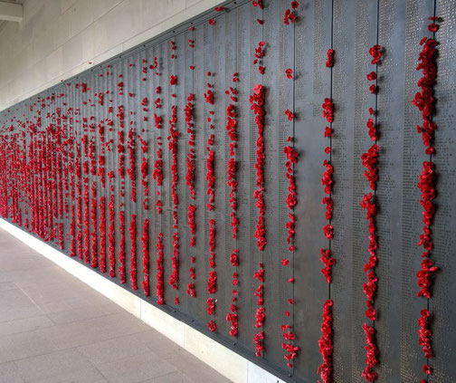 Red poppies at the Australian War Memorial