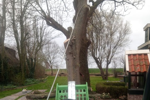 Jouw landgoed onderhoud is in veilige handen bij CB. Boomverzorging & Groenprojecten