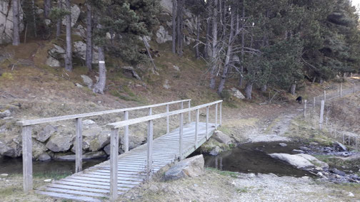 Ruta de senderisme a peu circular voltants de Bolquera - passera