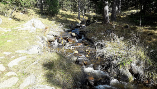 Ruta de senderisme a peu circular de Creu d'Èguet - Foto 2