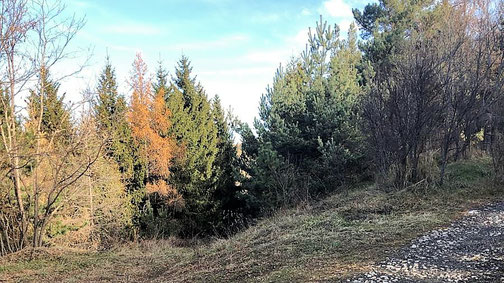 Ruta de senderisme a peu circular de Sallagosa - Bajanda - Foto 2