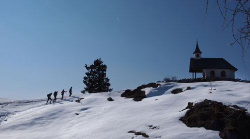 Meislsteinalm in Goldegg