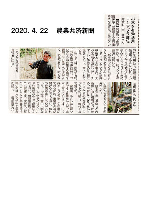 200422農業共済新聞コシアブラ