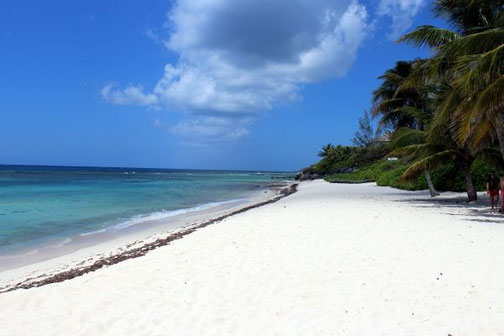 Stopps Beach, Cayman Islands, MSC Divina