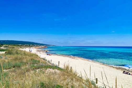 Formentera, Balearen, Die Traumreiser, einsame Strände, Buchten, Platja de Mitjorn