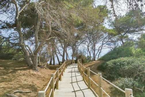 Ibiza, Balearen, Buchten, Strände, Die Traumreiser, Platja de ses Salines