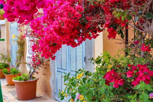 Mallorca, Spanien, Balearen, Reisetipps, Highlights, Die Traumreiser, Alcúdia, Altstadt