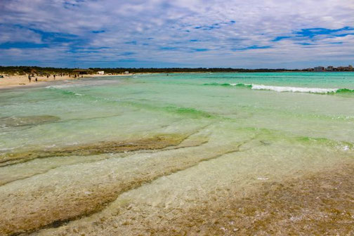 Mallorca, Spanien, Balearen, Reisetipps, Highlights, Die Traumreiser, Es Trenc, Strand, Traumstrand