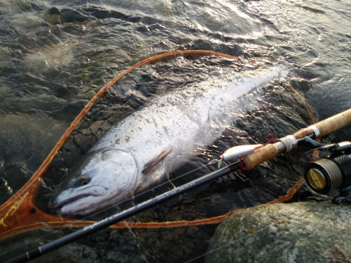 景色最高!石も綺麗だし、空気も綺麗!!黒部鱒も最高!!!