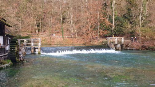 Am Blautopf, Blaubeuren