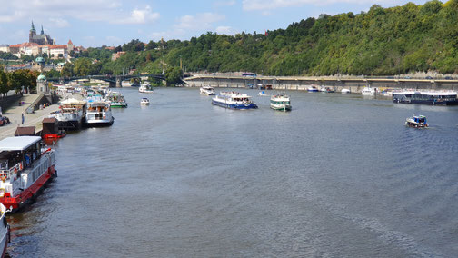 Auf der Moldau tummeln sich die Schiffe...