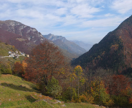 Wildromantischer Blick über das herbstliche Tal mit farbigem Laub.