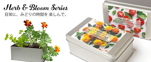 栽培キット - 栽培キットとブリキ雑貨のNAGAKURA