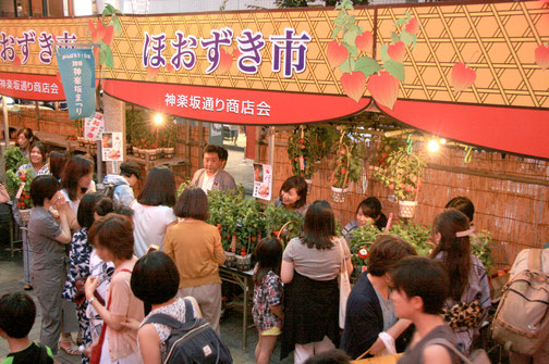 第8回 宗吾霊堂紫陽花まつり