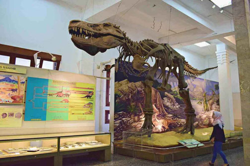 Bandung Geology Museum