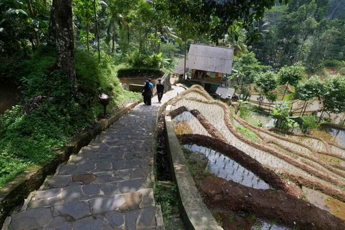 Kampung Naga