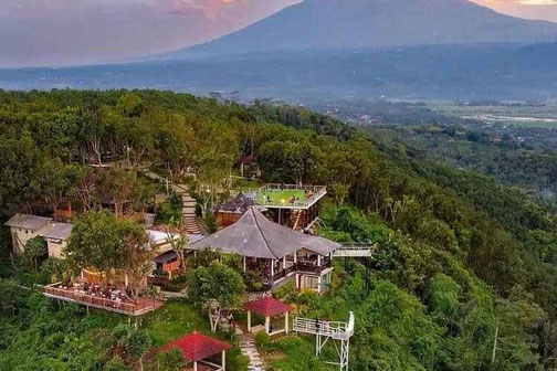 Tlogo Plantation & Coffee Estate