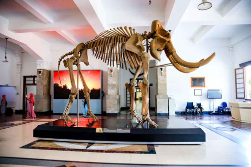 Bandung Geology Museum