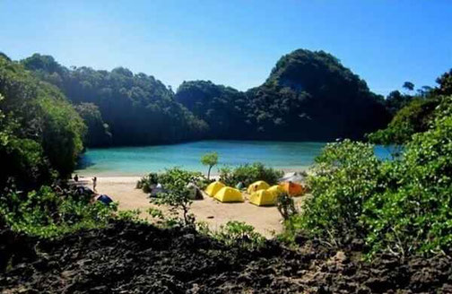 Sempu Island & Segara Anakan Lagoon