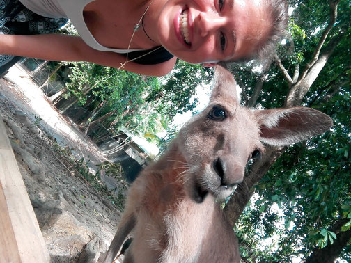 Das brühmte Känguru-Selfie