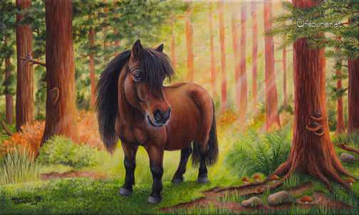Pony Zeus im Wald, 50 x30 cm