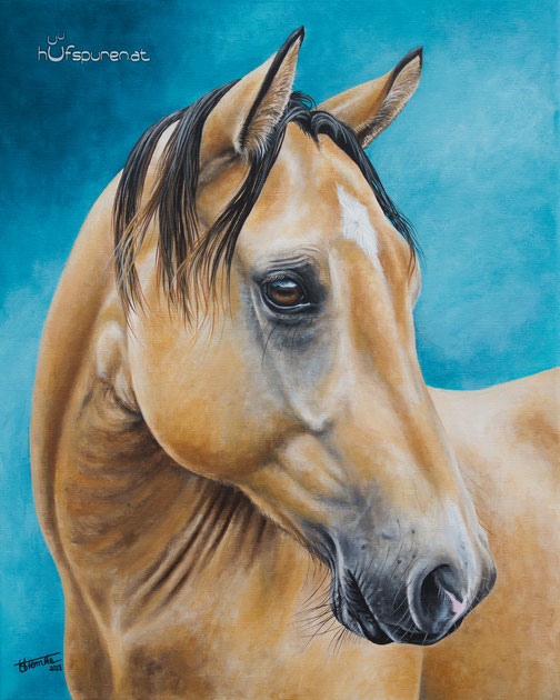50x40 Paint Horse Cowboy, Acrylgemälde Künstlerin Hanna Stemke, Hufspuren 2023