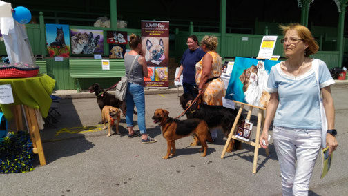 Hundetage in Baden mit WuffMiau nach einem Regenguss kommt die Sonne wieder