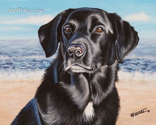 50x40 Labrador Oskar, Acrylgemälde Künstlerin Hanna Stemke, WuffMiau 2018
