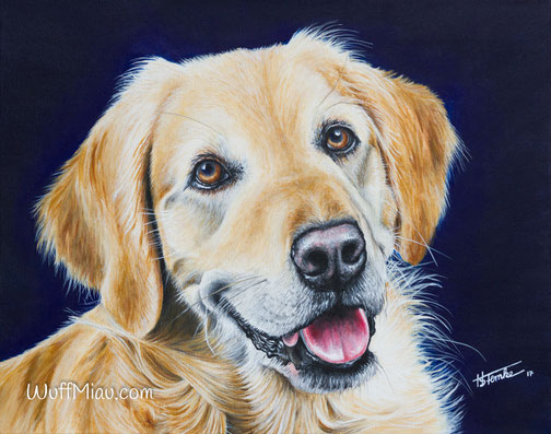 Hundegemälde" Golden Redtriever - Emma"