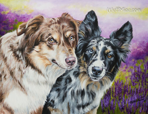 Hundegemälde "Australian Shepherd Dream Team - Maevee und Aimee"