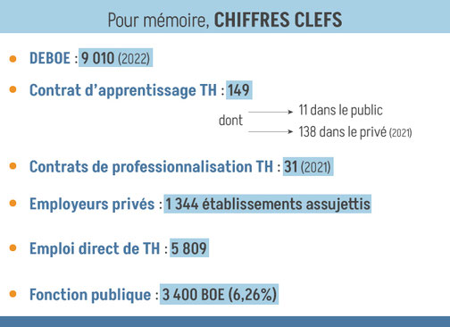 Chiffre clefs des ALPES-MARITIMES, DEBOE, contrats d'apprentissage et de professionnalisation TH, EA, privé, emploi direct de TH, fonction publique