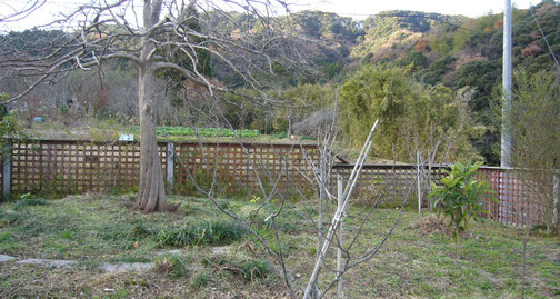 作った中では一番のお気に入り。この四角い格子は寝殿造りや寺院にもみられるがなぜかモダンにも感じる。