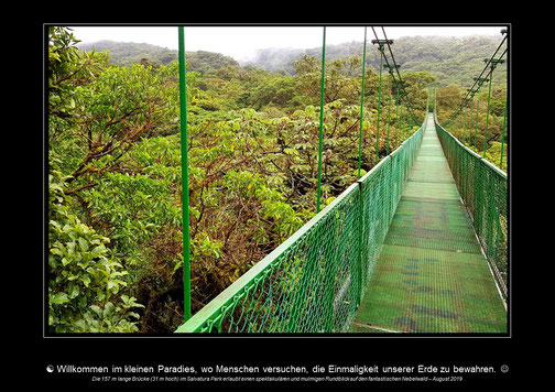 Foto-Poet, Kalender, Costa Rica, Nationalparks, Hängebrücken, Dschungel