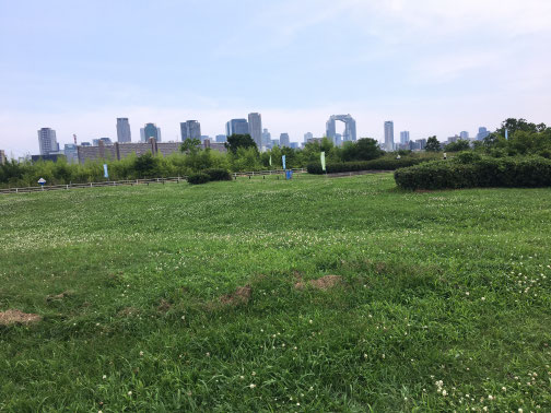 淀川河川公園西中島地区でレンタルサービス2019