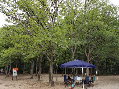貸し切り状態の大泉緑地BBQエリア
