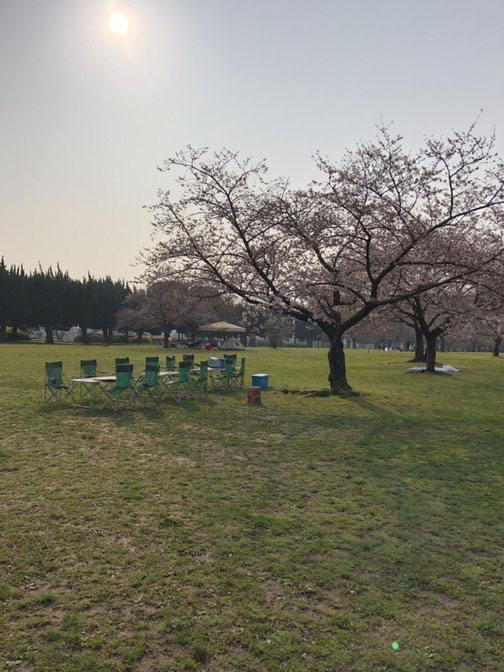 大泉緑地 お花見BBQ