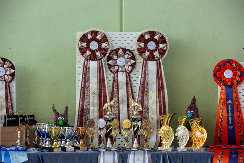 Ausstellung Niederlosheim 12.10.2025