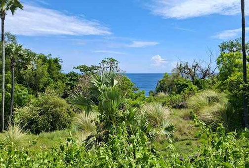 Amed land for sale