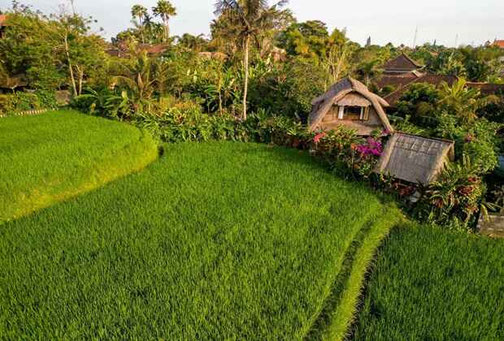 Penestanan real estate for sale