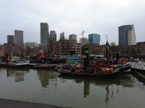 Alte Fischerboote in Rotterdam.